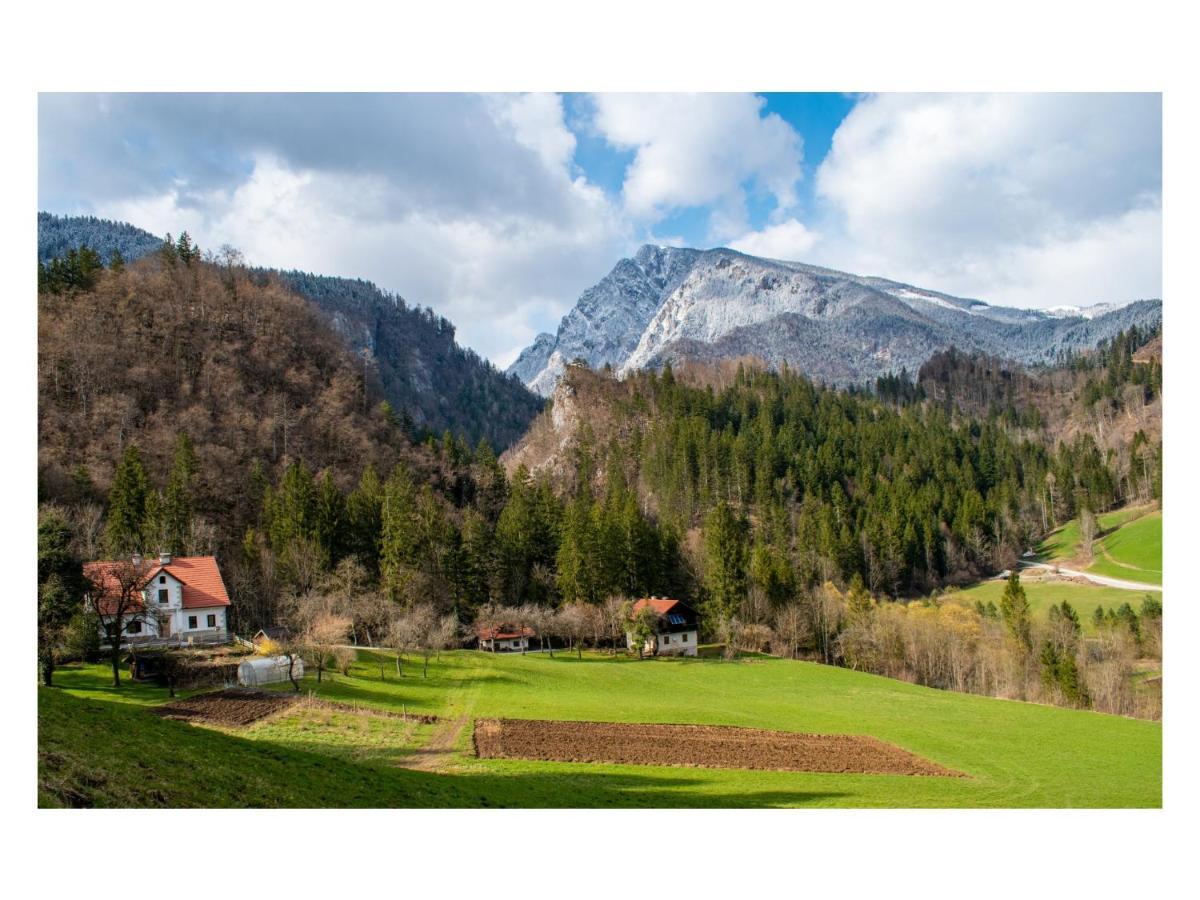 Turisticna Kmetija Stoglej Vila Luče Exterior foto