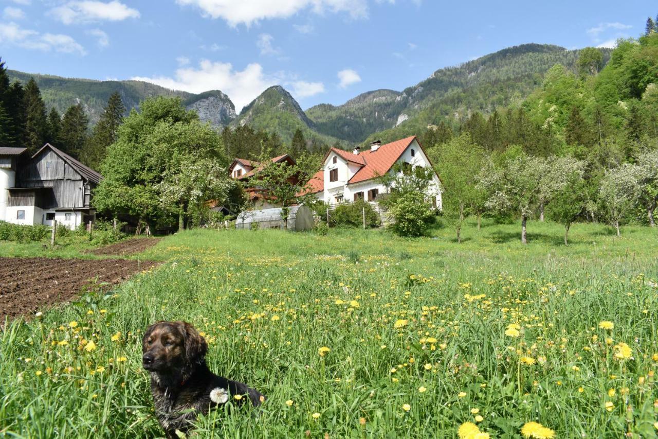 Turisticna Kmetija Stoglej Vila Luče Exterior foto